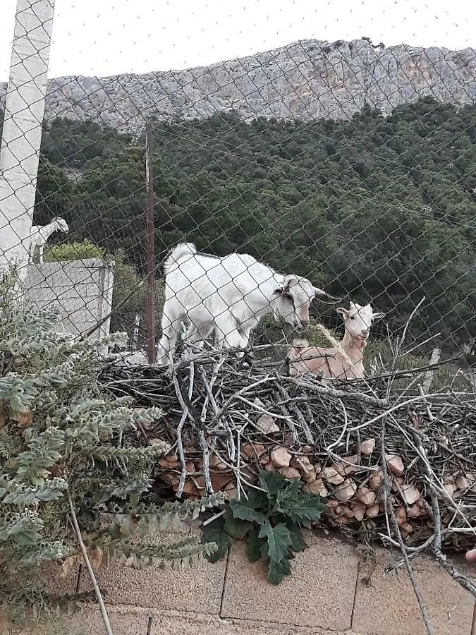 Casa Rural Cueva El Sauce Pegalajar 0*,